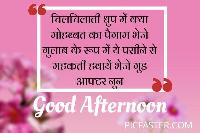 good afternoon images in hindi